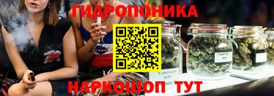 ECSTASY Будённовск
