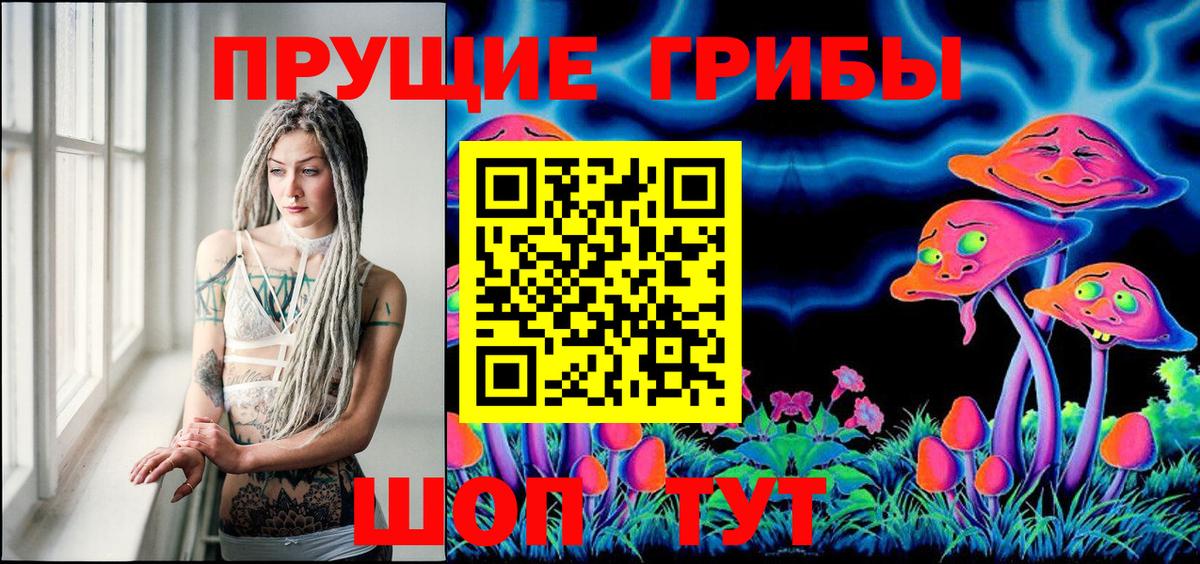 Псилоцибиновые грибы Cubensis  Вход с VPN  Минеральные Воды 